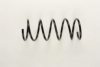 CITRO 5002P7 Coil Spring